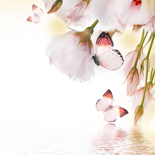 istock Bouquet of pink roses 511711551