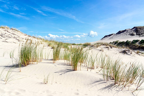 istock Sand dunes, hills, blue sky, Czolpino, Poland, Baltic Sea 511711949