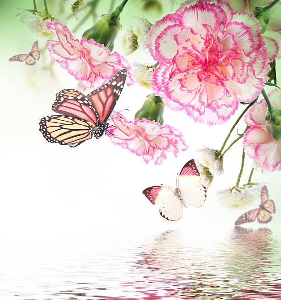 istock Bouquet of pink roses 511713513
