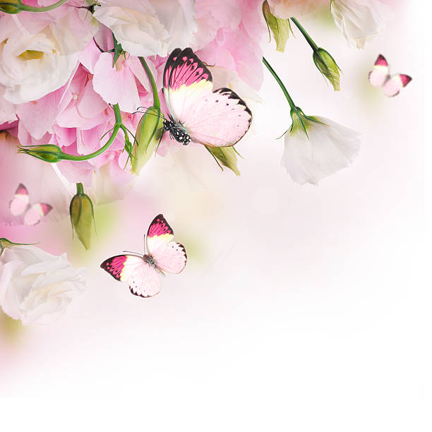 istock Bouquet of pink roses 511713519