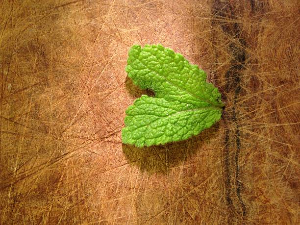 mint leaf at heart on chopping board