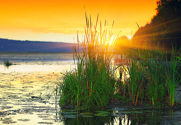 istock Sunset over the lake 511718278