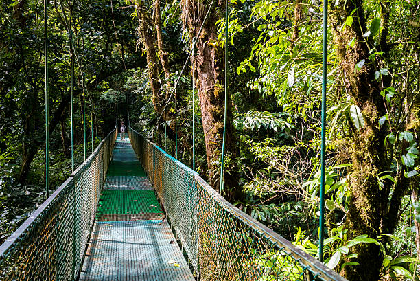 istock Hanging Bridges in Cloudforest - Costa Rica 511719884