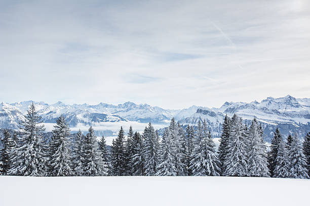istock Splendid winter alpine scenery with high mountains and trees cov 511721684