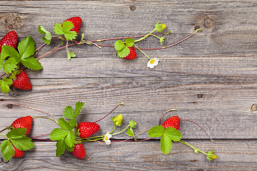 Border of fresh strawberries.