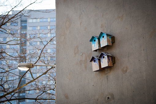 Wooden birdhouses mounted to a wall besides tall apartment buildings.