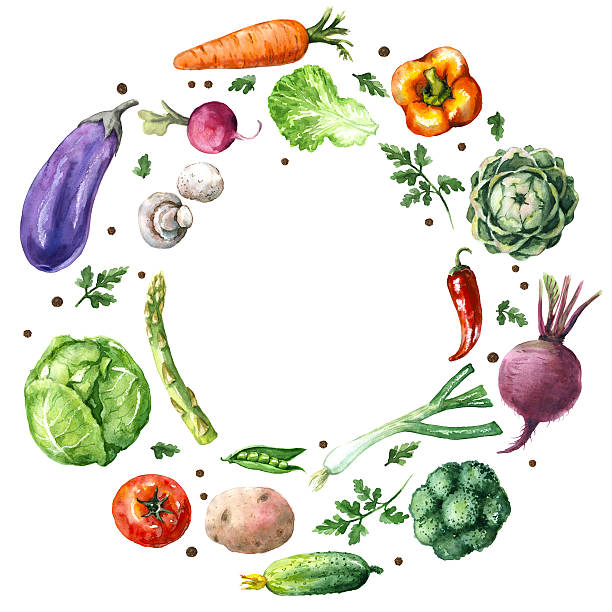 Various Vegetables Round Frame Hand drawn watercolor illustration. Set of organic products. Round frame of various vegetables isolated on white. cooking borders stock illustrations