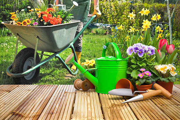 istock Gardening tools and flowers on the terrace 511725904