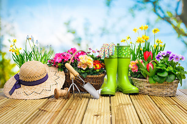 istock Gardening tools and flowers on the terrace 511726022