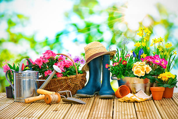 istock Gardening tools and flowers on the terrace 511726354