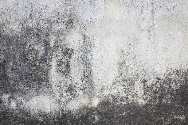 istock cracked concrete vintage wall 511726622