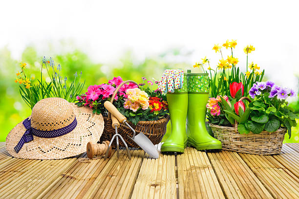 istock Gardening tools and flowers on the terrace 511726782