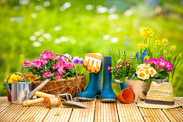 istock Gardening tools and flowers on the terrace 511727042
