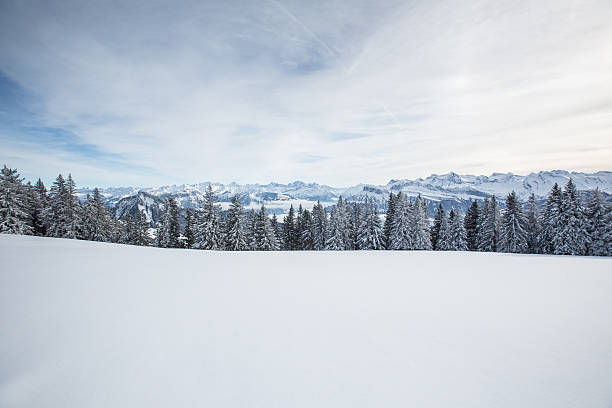 istock Splendid winter alpine scenery with high mountains and trees cov 511727536