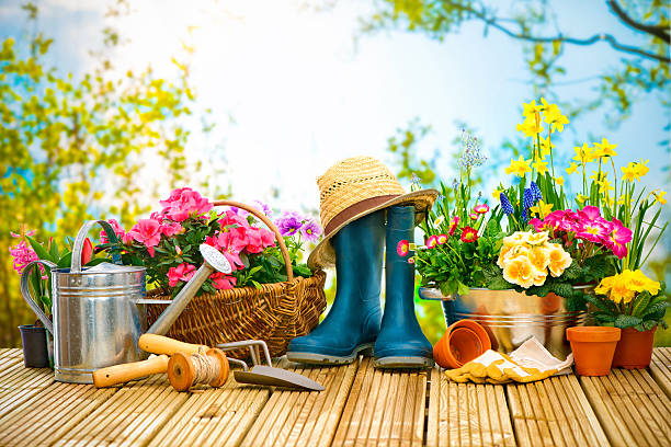 istock Gardening tools and flowers on the terrace 511727932