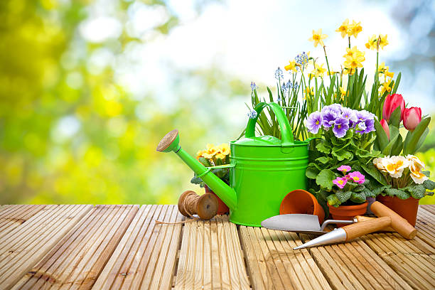 gärtnern werkzeuge und blumen auf der terrasse - spring paperwhite narcissus flower temperate flower stock-fotos und bilder