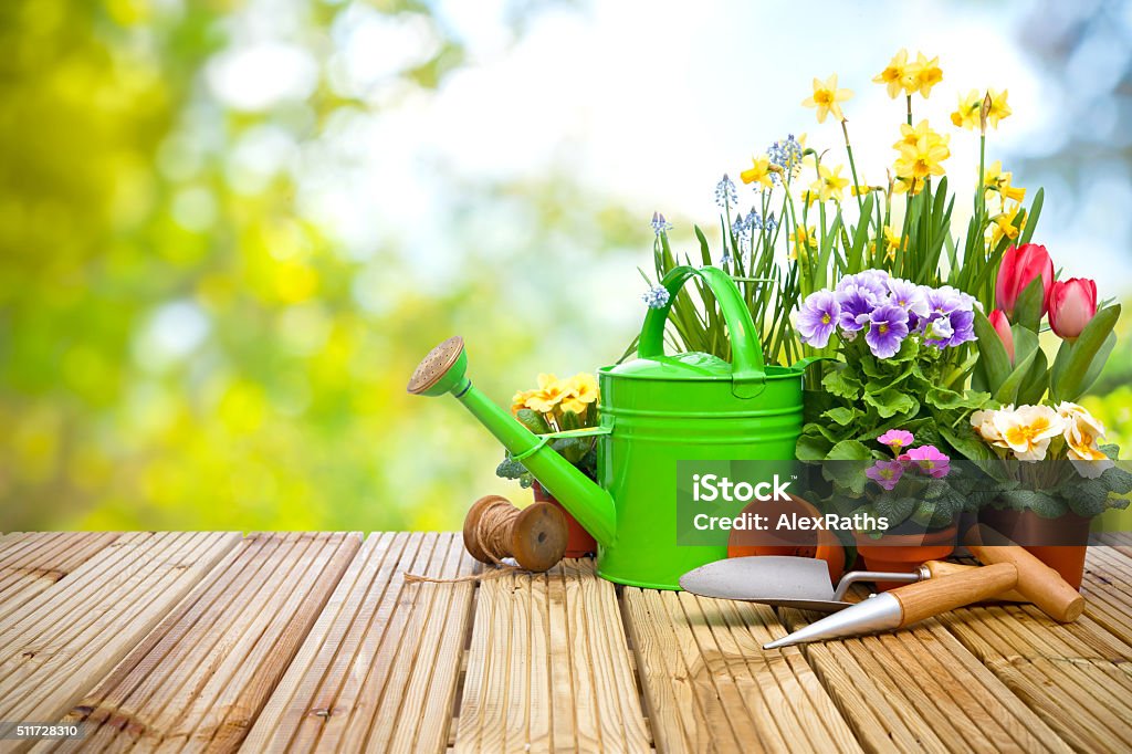 Gardening tools and flowers on the terrace Gardening tools and flowers on the terrace in the garden Gardening Equipment Stock Photo