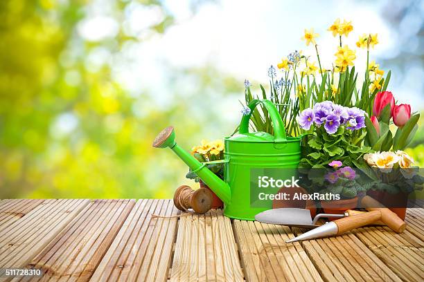 Gardening Tools And Flowers On The Terrace Stock Photo - Download Image Now - Gardening Equipment, Yard - Grounds, Activity