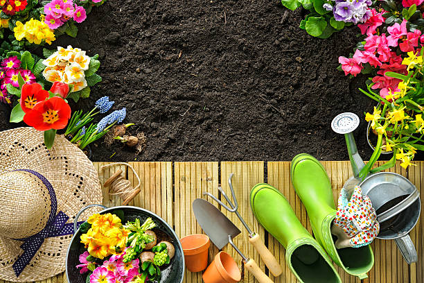 istock Gardening tools and flowers on the terrace 511728426