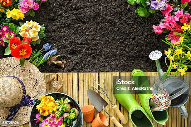 Gardening Tools And Flowers On The Terrace Stock Photo - Download Image Now - Gardening, Patio, Equipment