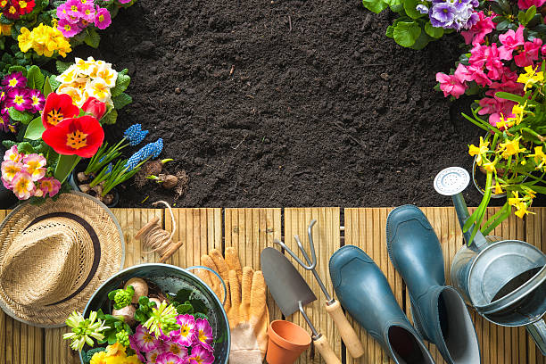 istock Gardening tools and flowers on the terrace 511728530