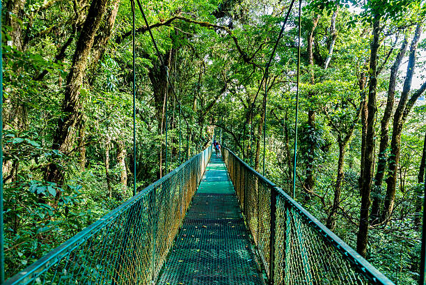 istock Hanging Bridges in Cloudforest - Costa Rica 511732956
