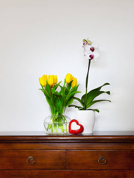 istock Yellow tulips and orchids 511735738