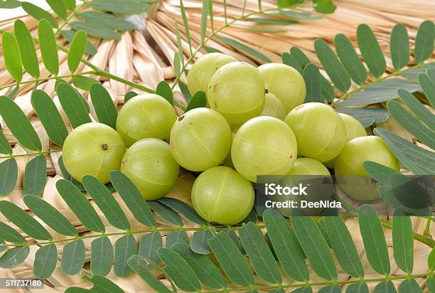 Indian Gooseberries On White Background Stock Photo - Download Image Now - Gooseberry, India, Backgrounds