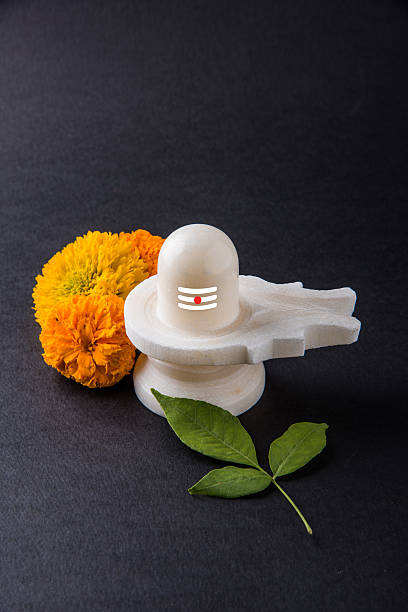 shiva linga aus weißem marmor mit blumen, mahashivaratri - shivalinga stock-fotos und bilder