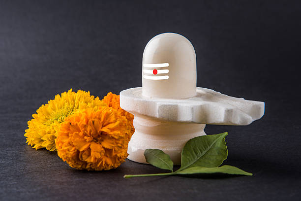 shiva linga feita de mármore branco com flores, mahashivaratri - shivalinga - fotografias e filmes do acervo