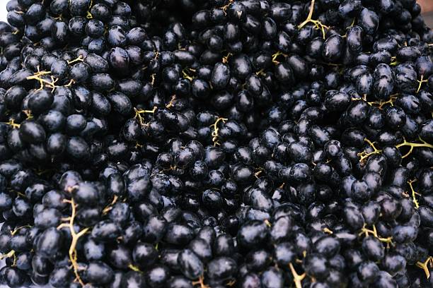 uve nere bunches. - branch close up dark sullen foto e immagini stock