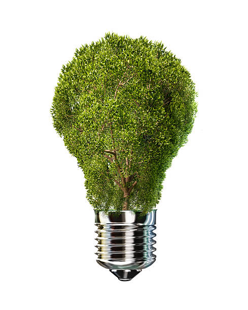 istock Light bulb with tree in place of glass. 511741715
