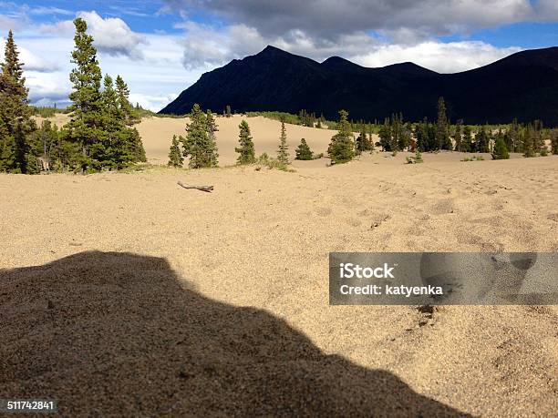 Carcross Desert Yukon Territory Canada Stock Photo - Download Image Now - Carcross, Desert Area, No People