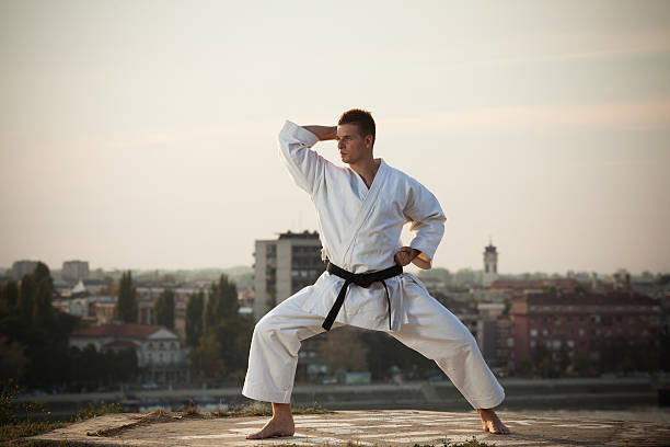 istock Man practicing martial arts outdoors 511743165
