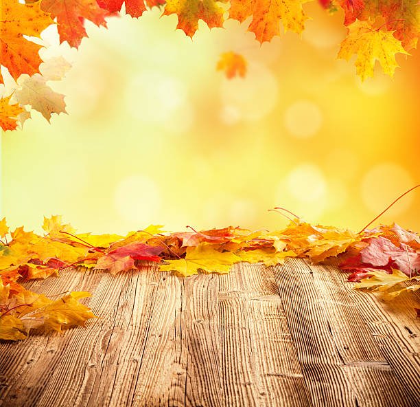 istock Autumn background with empty wooden planks 511744005