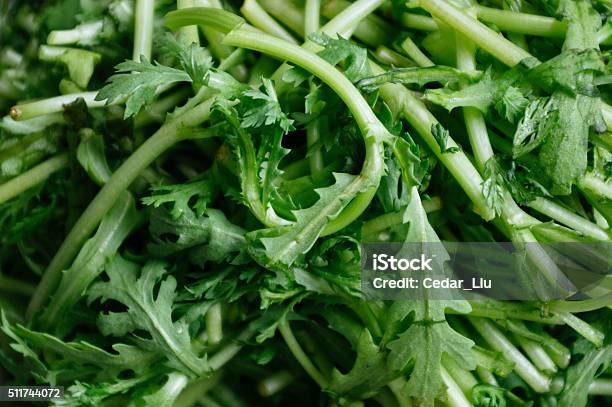 Shungiku Or Edible Chrysanthemum Stock Photo - Download Image Now - China - East Asia, Close-up, Cooking