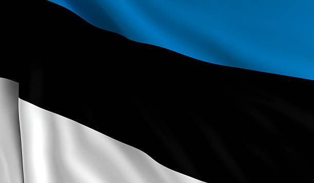 istock Flag of Estonia 511744129