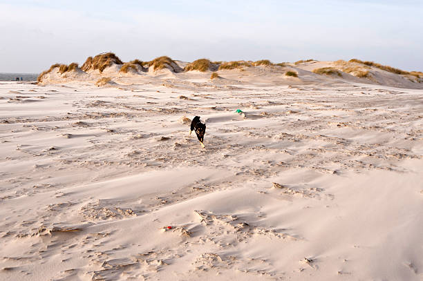 istock Beach of Amrum in Germany 511745752
