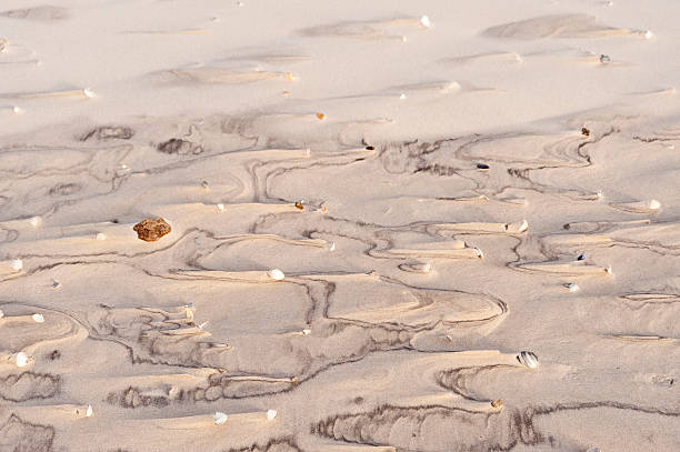 istock Beach of Amrum in Germany 511745796