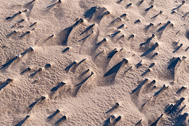 istock Beach of Amrum in Germany 511746754