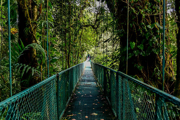 istock Hanging Bridges in Cloudforest - Costa Rica 511747064