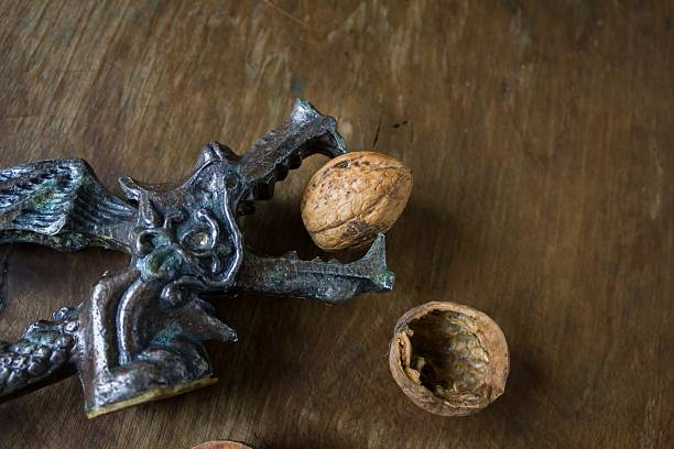 antique dragon avec casse-noisette, noix - antiquary photos et images de collection