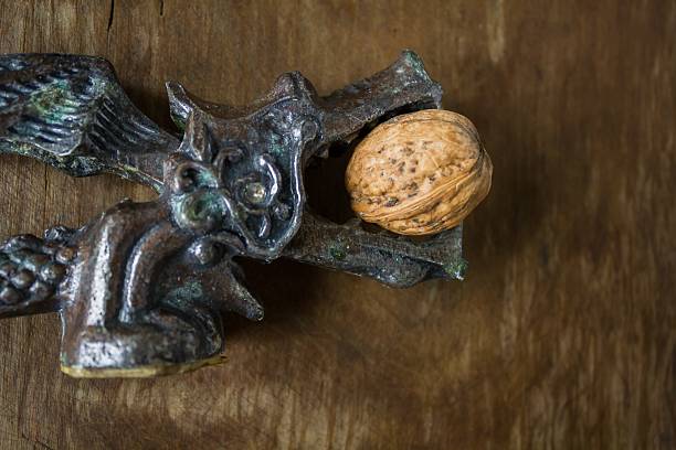 antique dragon avec casse-noisette, noix - antiquary photos et images de collection