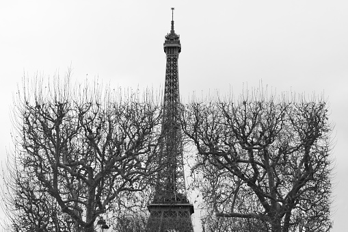 Winter season in Paris
