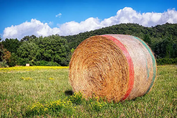 haybale at a field - photo