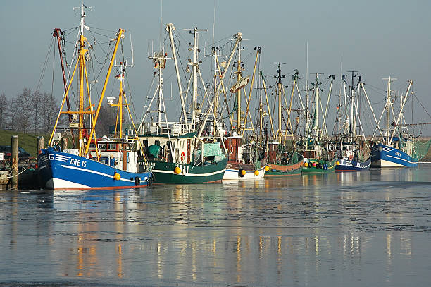 hafen - kutter zdjęcia i obrazy z banku zdjęć