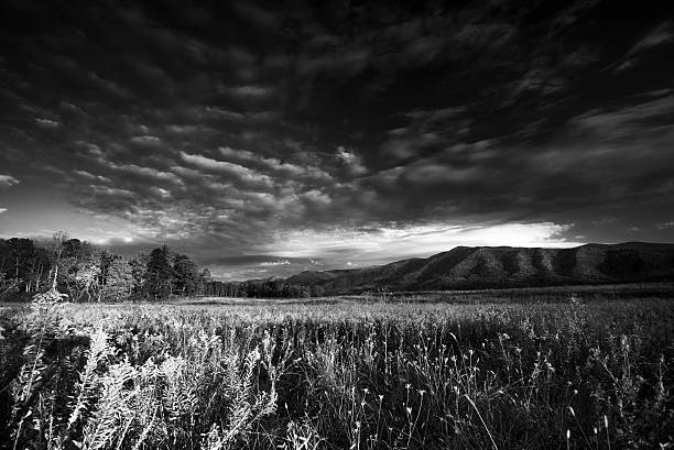 istock Late Afternoon on Hyatt Lane 511773457