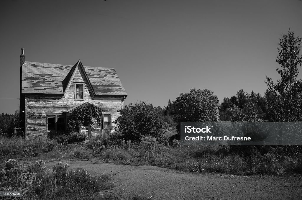 Spooky house An abandoned house with growing nature all around, in black and white Abandoned Stock Photo