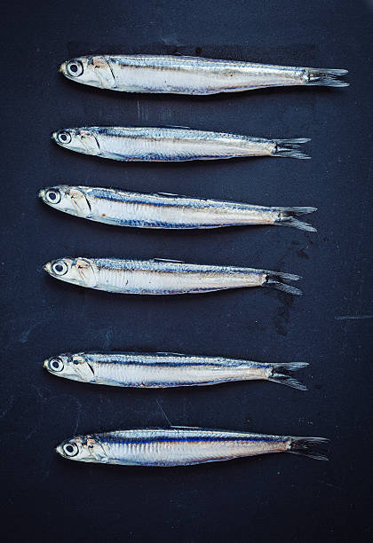 Raw Anchovies