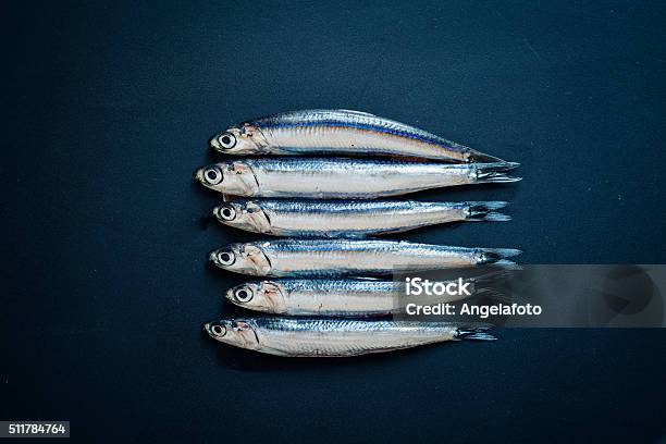 Raw Anchovies Stock Photo - Download Image Now - Anchovy, Sardine, Bluefish